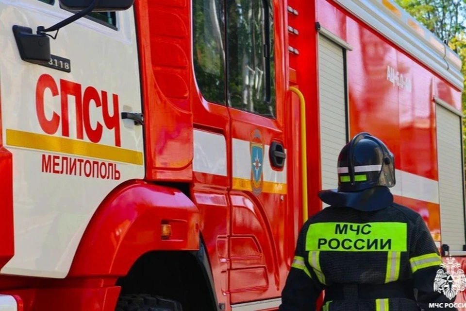 17 пожаров произошло в регионе за сутки 18 июня. Фото: ГУ МЧС России по Запорожской области