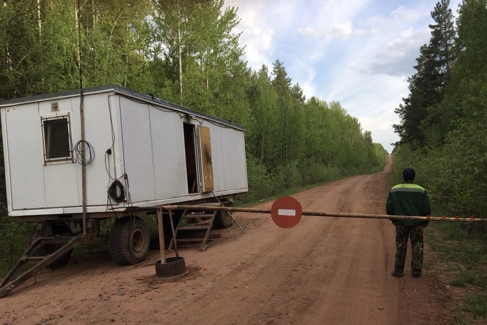 В Иркутской области возобновляют ограничения на посещение лесов.