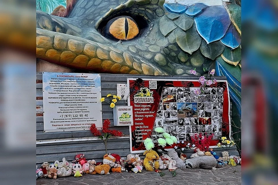 Большую коллекцию экзотичеких животных "Тропикпарк" потерял во время пожара весной прошлого года. Фото: страница экзотариума в соцсети