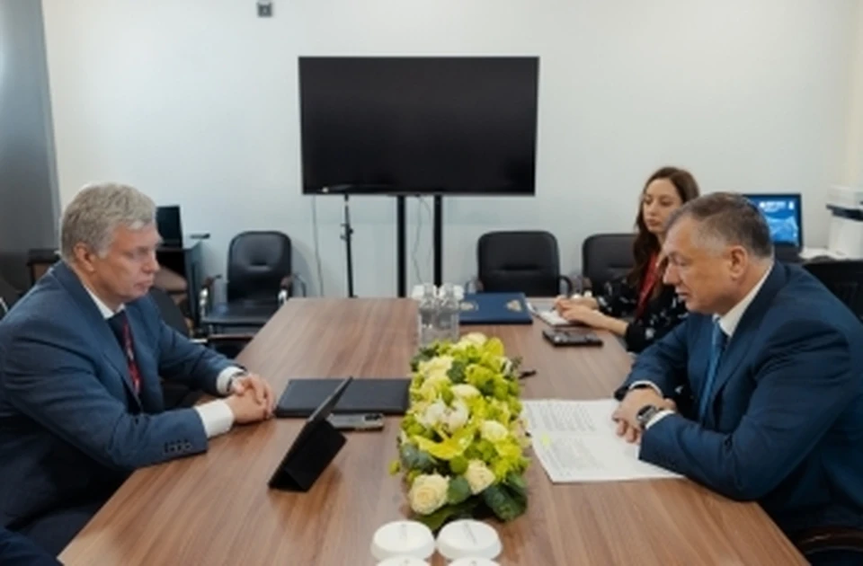 Глава региона встретился с заместителем председателя Правительства России. Фото пресс-служба заместителя Председателя Правительства РФ