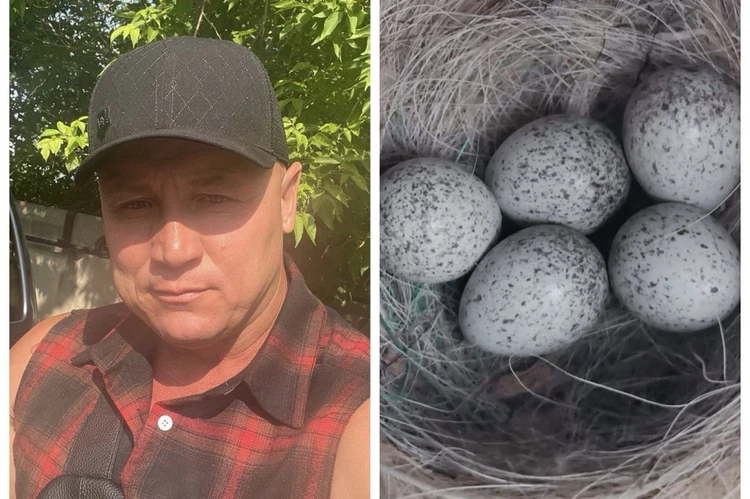 «Они нас за родителей приняли!»: как автодилер из Иркутска раскрыл преступление и стал «приемным отцом» для трясогузок
