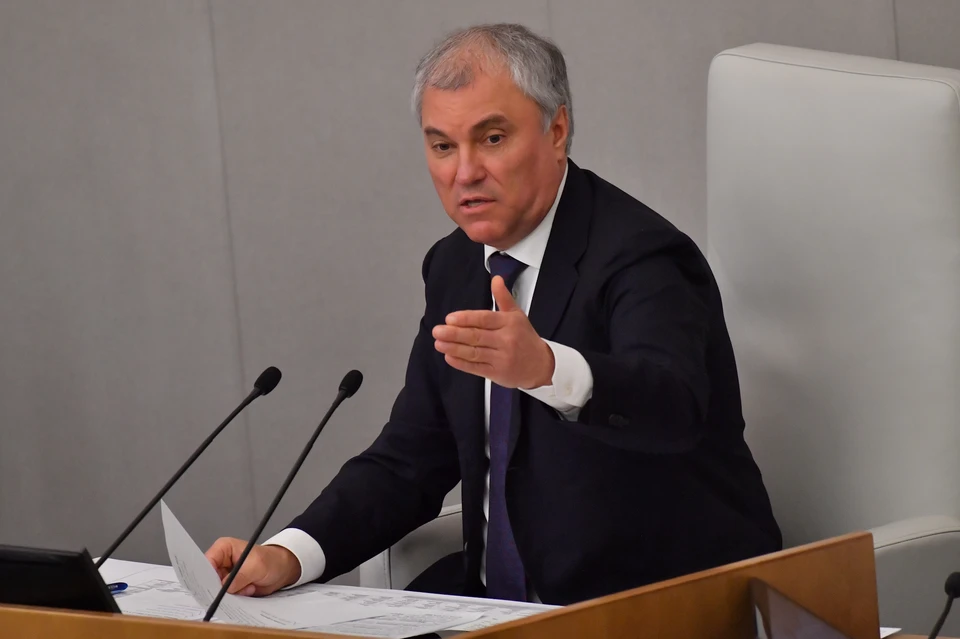 Председатель Государственной думы РФ Вячеслав Володин