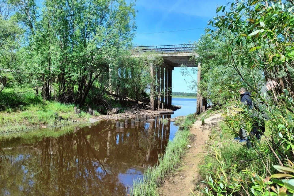 Планируется, что эти работы выполнят в 2026-2028 годах. Фото: пресс-служба Минприроды Коми