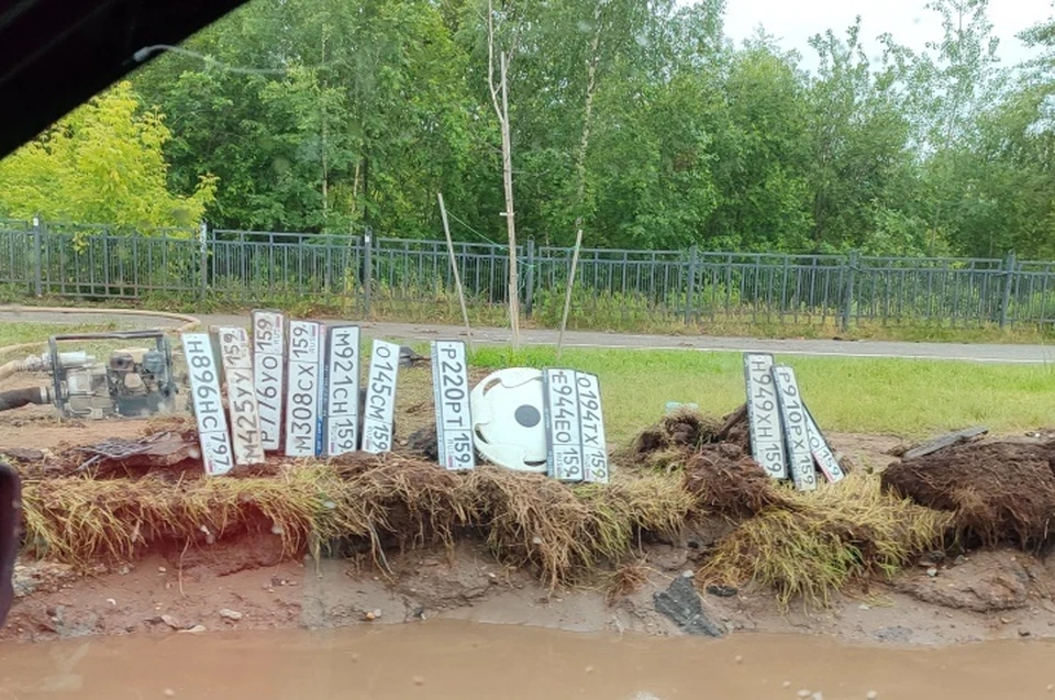 Фото: Сергей Соколов.