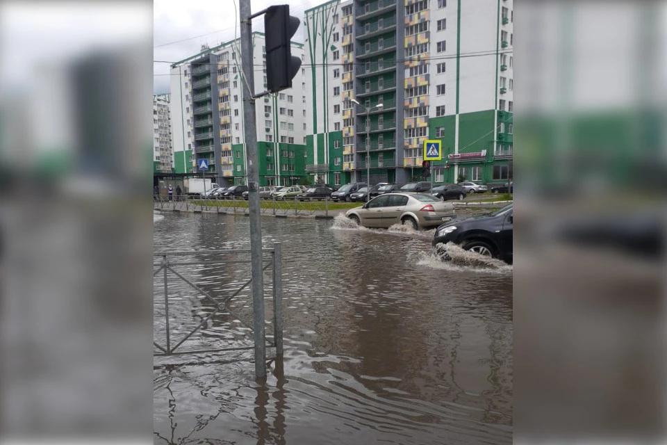 Водный мир в Мамулино.