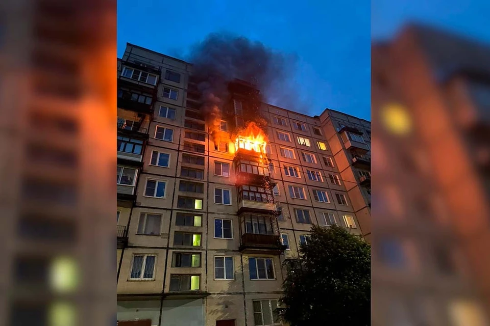 Информация о пострадавших не поступала. Фото: Росгвардия по Петербургу и Ленобласти