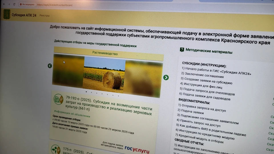 Цифровой сервис «Субсидия АПК 24». Фото Светлана ЮДИНА