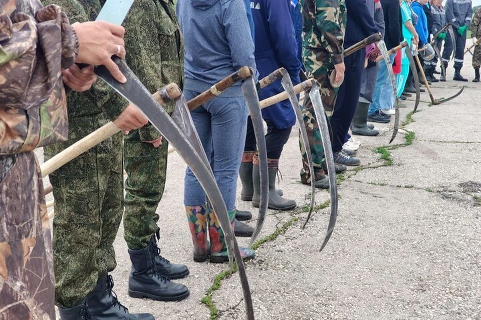 В Самарской области определили лучших сельских тружеников