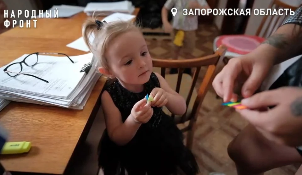 Семьи в селе Веселое получили продукты и средства гигиены. Фото: Народный фронт Запорожской области