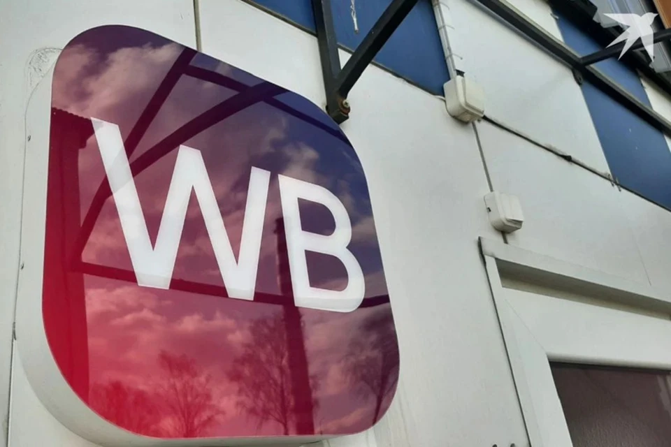 Популярный маркетплейс Wildberries запустил доставку крупногабаритных товаров в Беларуси. Снимок носит иллюстративный характер. Фото: архив «КП»