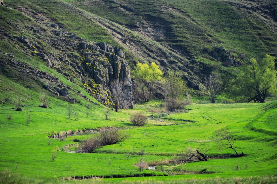 Долина со скалами и рекой Кальчик