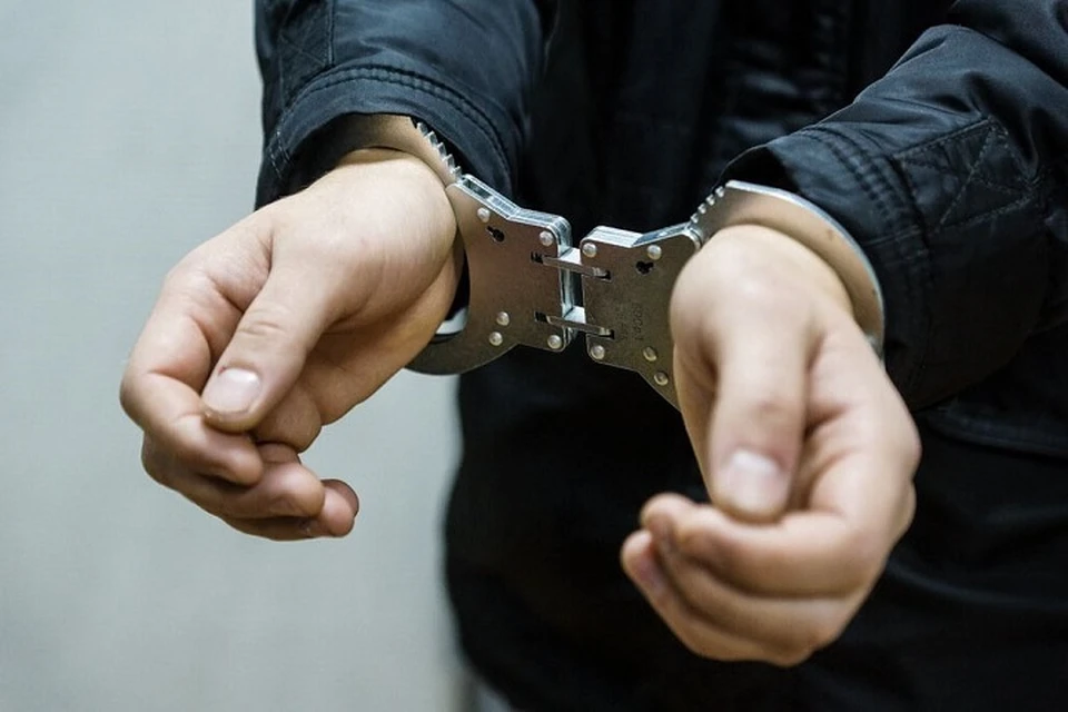 В Енакиево задержали мошенника, выманившего почти 300 тысяч рублей у женщины (архивное фото)