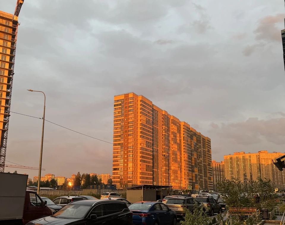 Проблема нашествия крыс беспокоит жильцов центра Тюмени уже полгода.