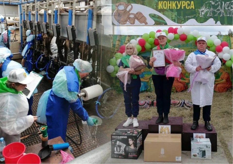 Тройка призеров: Галина Горина, Наталья Тимофеева, Вячеслав Данилин. Фото: www.ryazagro.ru