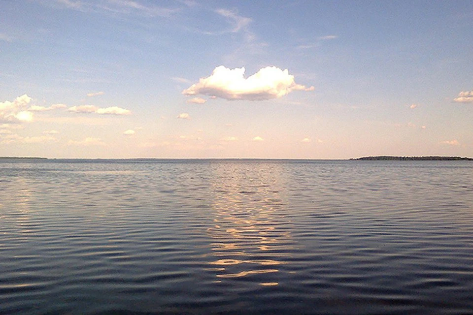 В Химках достали из воды тело пятилетнего мальчика, который выпал из катера.