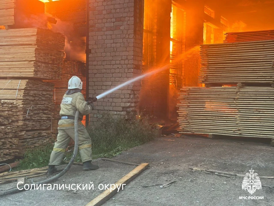 Фото: пресс-служба ГУ МЧС России по Костромской области