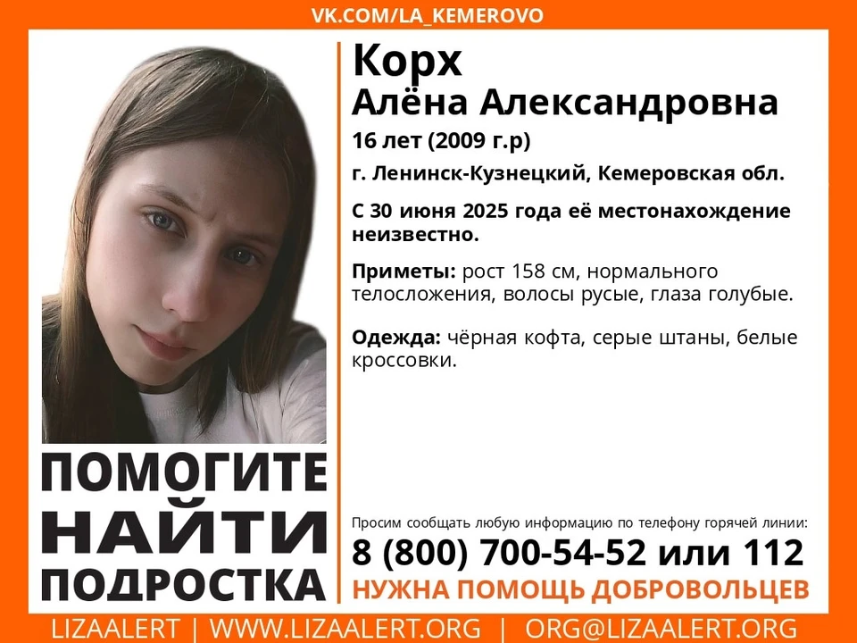 Фото: ЛизаАлерт Кузбасс.
