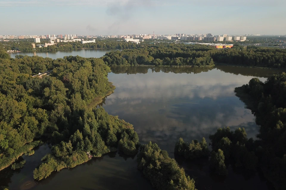 Зеленый каркас Москвы повышает комфорт и экологичность города