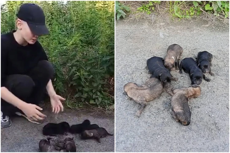 «Мы сразу кинулись в водоем»: в Коркино подростки спасли щенков, которых хозяин хотел утопить в реке