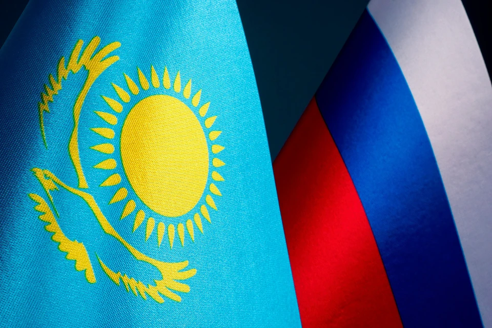 Посольство России в Астане прокомментировало сообщения о больших очередях на границе между Казахстаном и Россией Фото: Vitalii Vodolazskyi/Shutterstock/Fotodom