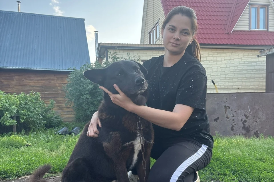 Щенка спасли пять лет назад, и сейчас он уже вырос в большого красивого пса. Фото: ГУФССП России по Новосибирской области