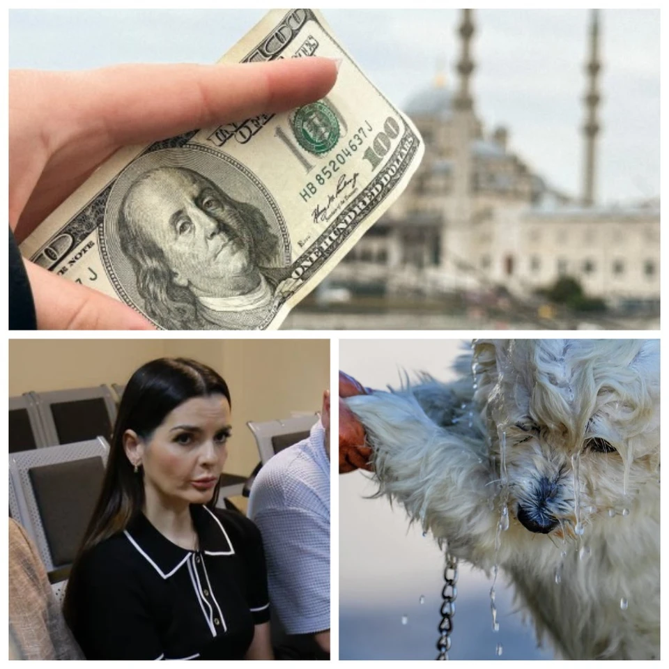 Главные новости в Молдове.
