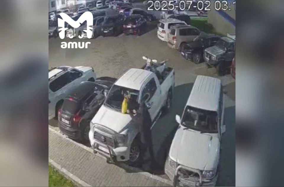 На записи видно, как двое в масках подходят к авто с канистрой в руках. Фото: принтскрин видео amur_mash