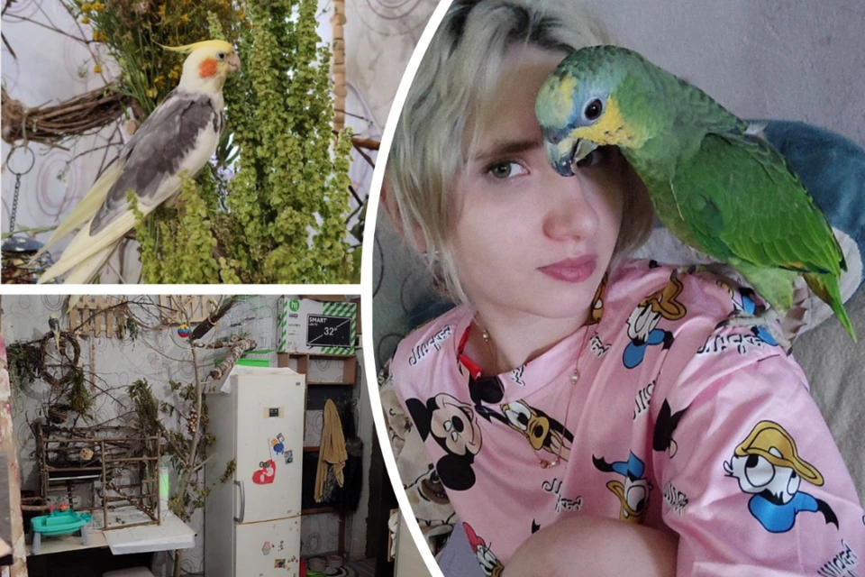 Молодая мама превратила свою комнату в коммуналке в питомник попугаев. Фото: Предоставлены Анастасией Меренцевой