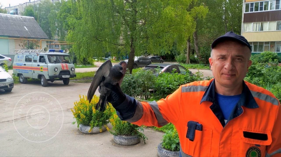 В службу спасения позвонила хозяйка квартиры, которая услышала непонятный шум в вытяжке. Фото управления ГО и ЧС города Липецка.