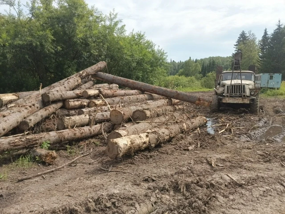 Фото: полиция Кузбасса.