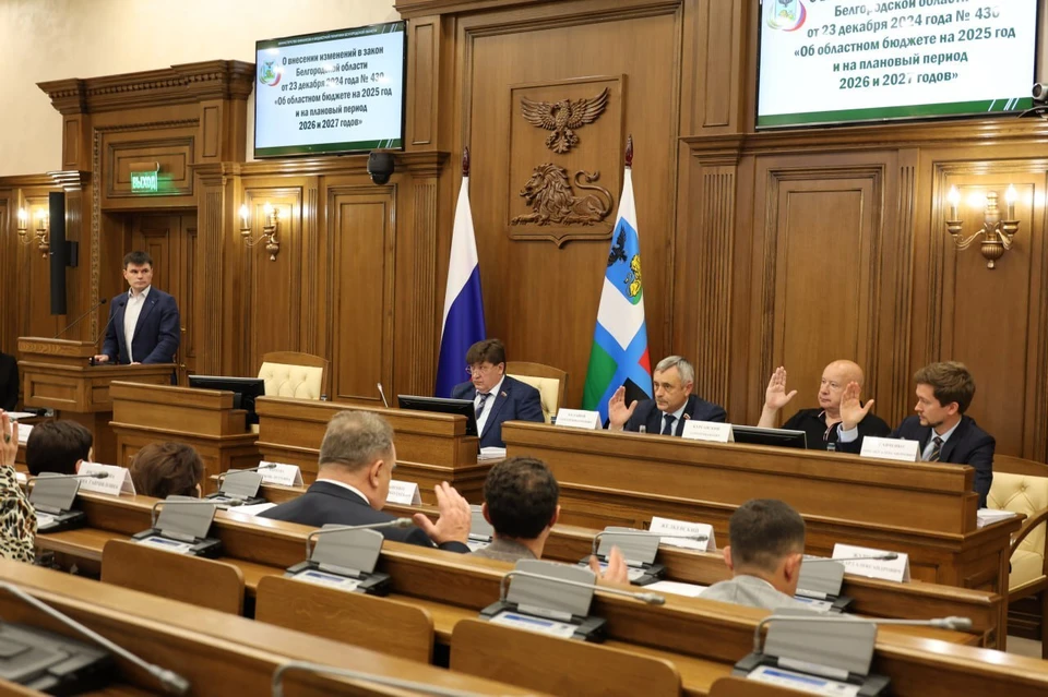 Фото – архив пресс-службы Белгородской облдумы.
