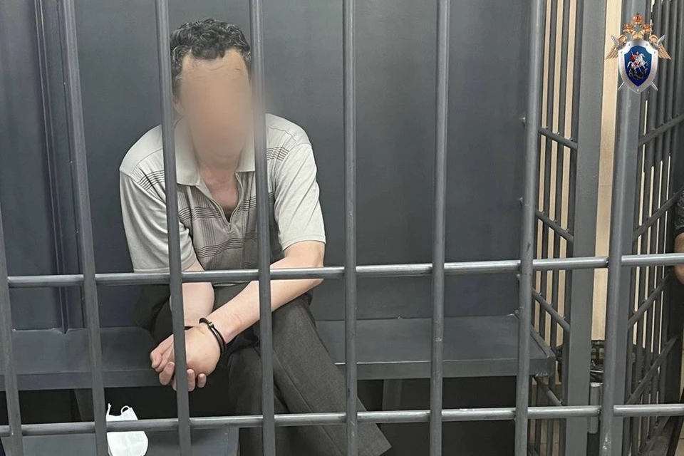 В Иркутске напавшего на медиков пациента заключили под стражу на два месяца. Фото: СУ СКР Иркутской области.