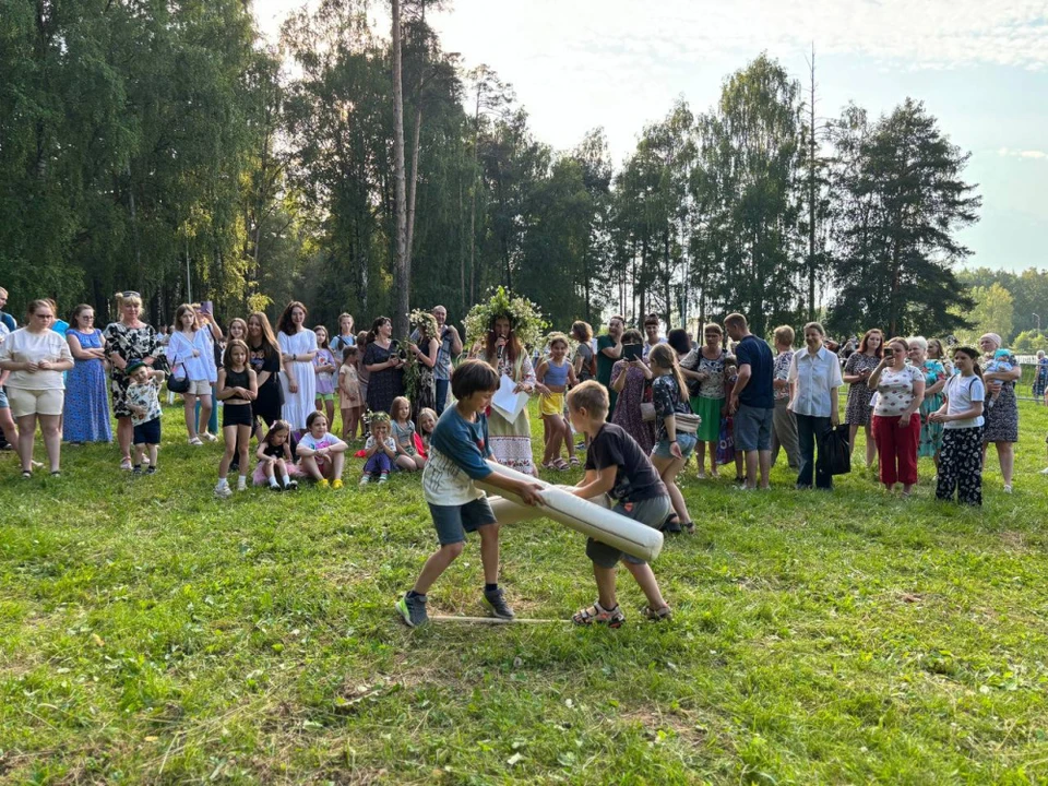 Источник: grad.kostroma.gov.ru