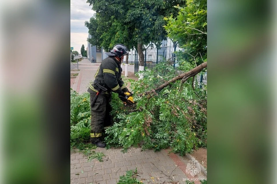 176 пожаров потушили в регионе за минувшую неделю. Фото: ГУ МЧС России по Запорожской области