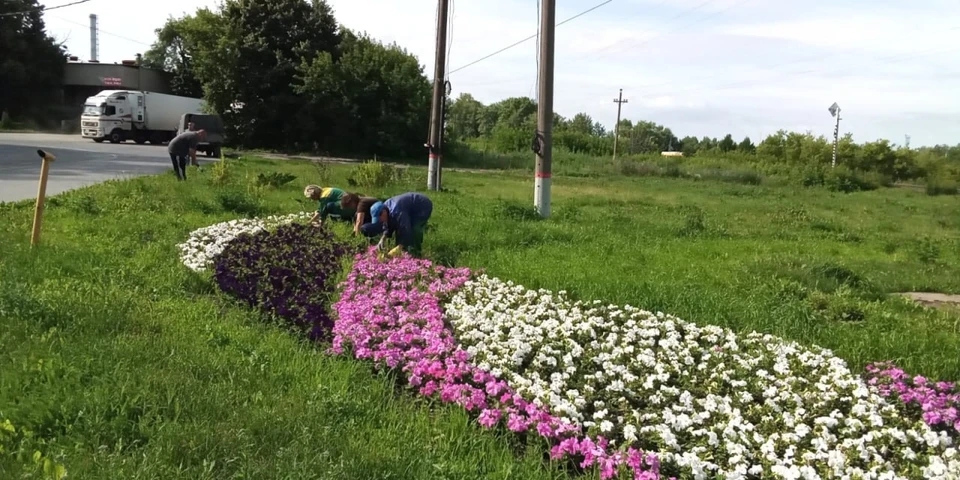 В Ульяновске пропалывают клумбы у ЦУМа и в парке Дружбы. ФОТО: тг-канал Центра по благоустройству и озеленению Ульяновска