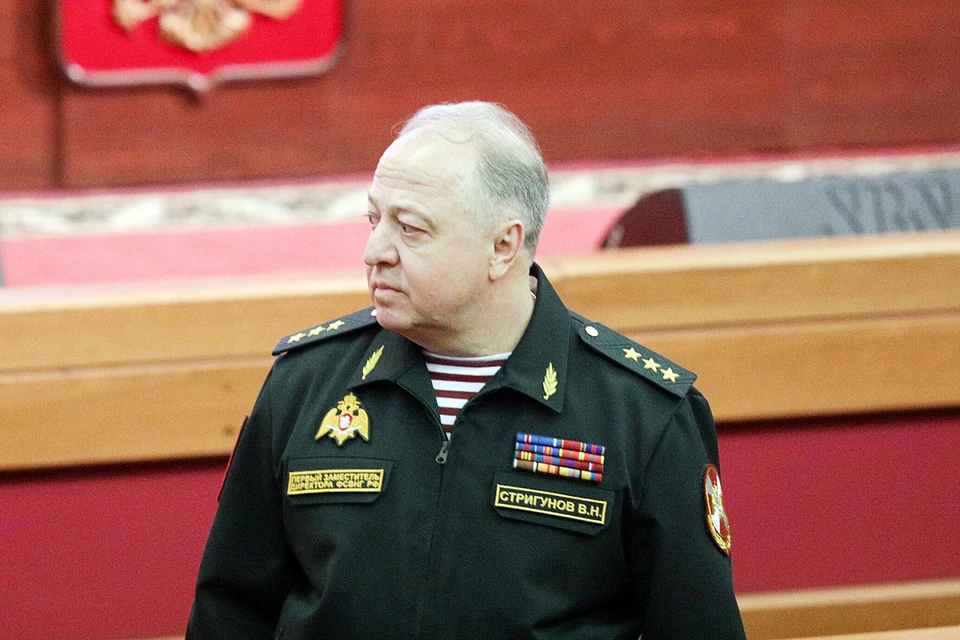 Стригунов был арестован и отправлен под стражу по делу о получении взяток в особо крупном размере