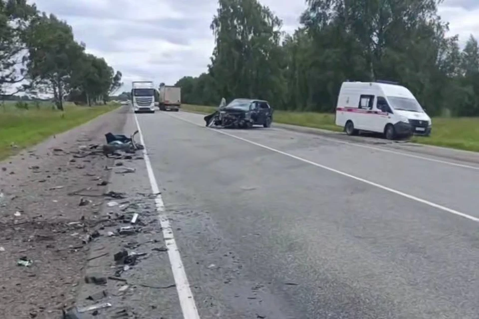 Фото: скриншот из видео пресс-службы Госавтоинспекции пермского края