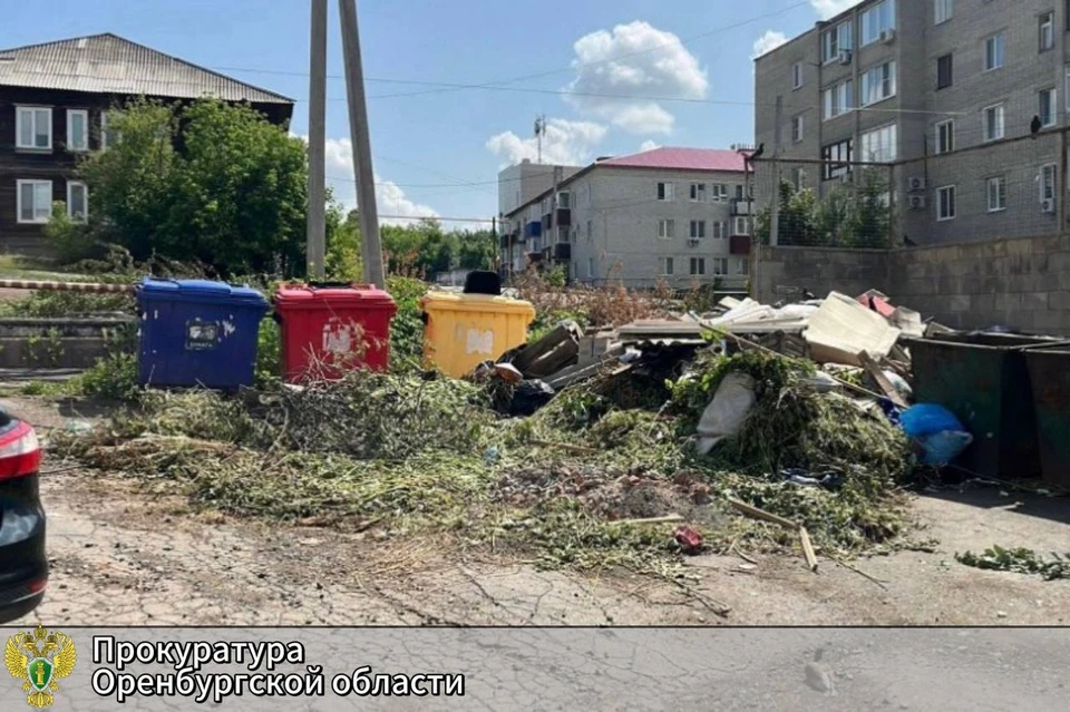 Прокурор города обратился в суд с требованием привести контейнерные площадки в порядок. Фото: прокуратура Оренбургской области