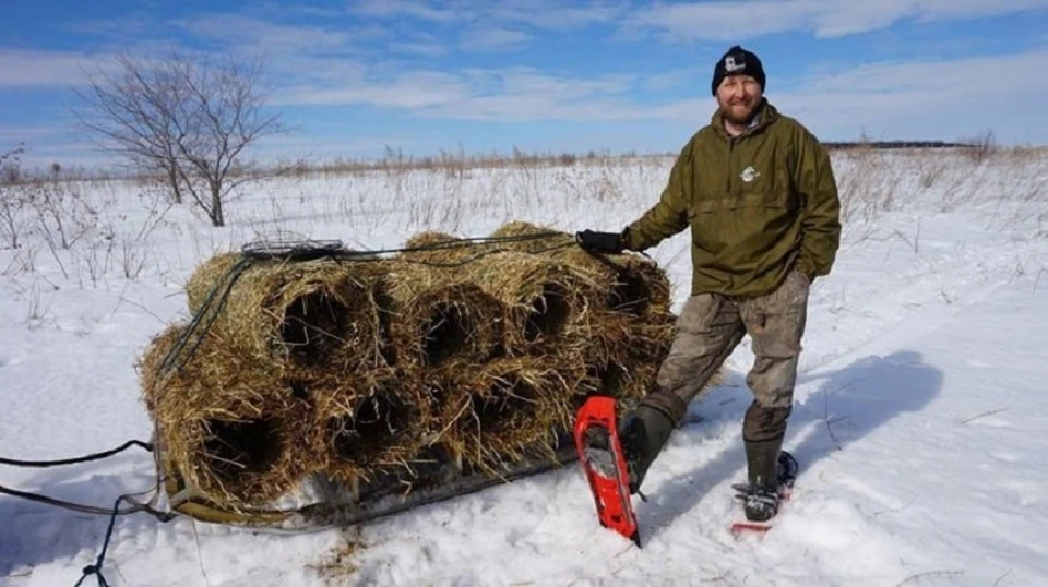 Фото: телеграм-канал «Охотоведение — Hunting Research»