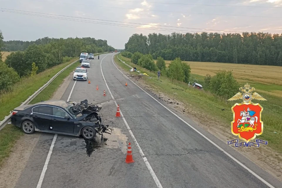 Водитель BMW выехал на встречную полосу и влетел в микроавтобус с детьми. Фото: ГУ МВД России по Московской области