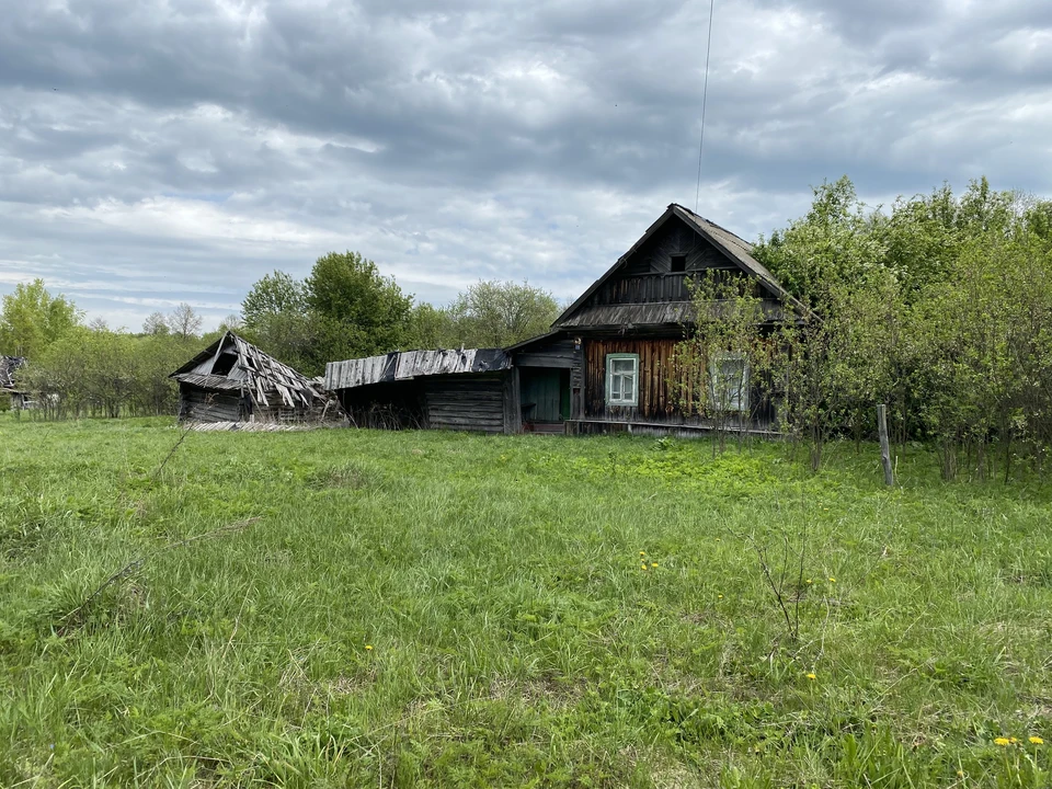 В Коми самая низкая плотность населения — в Троицко-Печорске и Усть-Цильме.