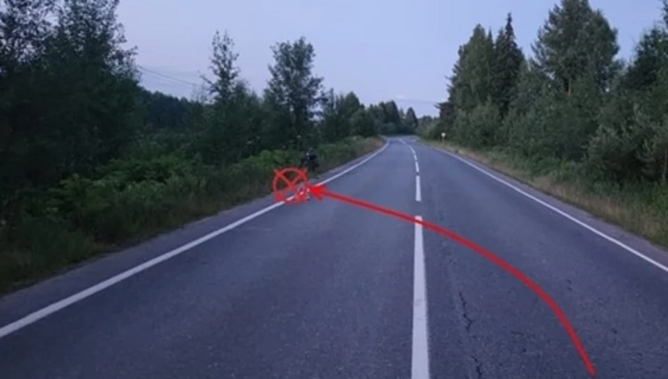 Фото: Госавтоинспекция Коми