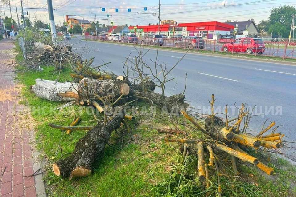 Фото: пресс-служба Брянской городской администрации.