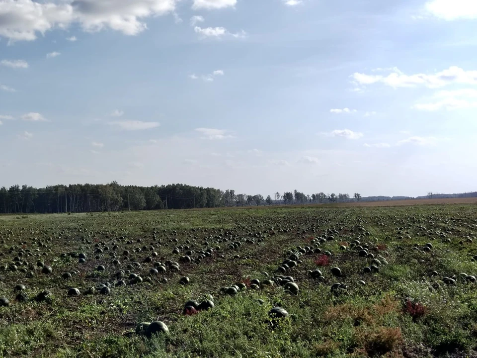 Фото предоставлено Светланой Дорогобид