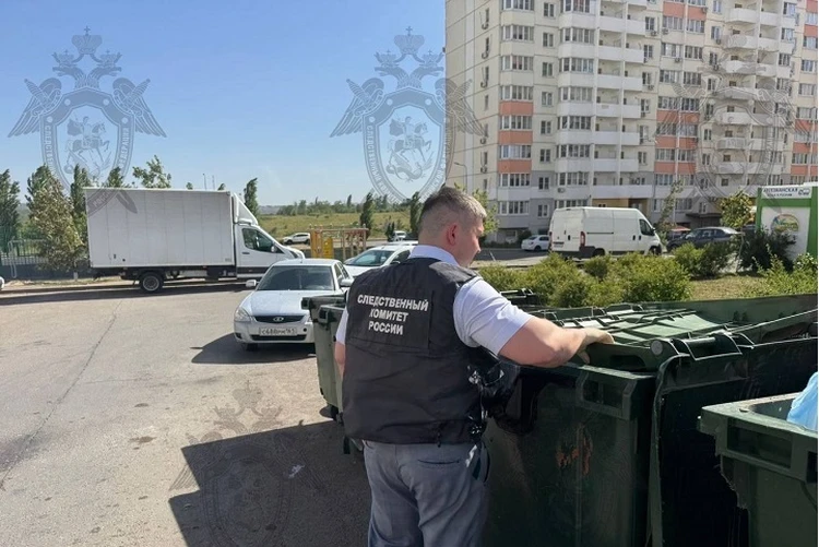 «Полгода хранила в морозилке и выбросила»: Что известно о матери малыша, тело которого нашли в мусорном контейнере в Ростове