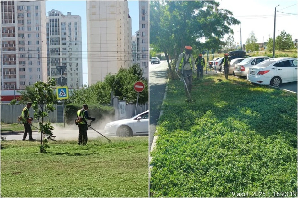 В Ростове постоянно проводят покос сорной растительности. Фото: Пресс-служба администрации Ростова.