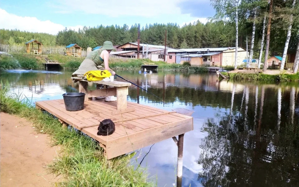 Котик и автор статьи терпеливо ждут клева. Фото: Михаил Новоселов