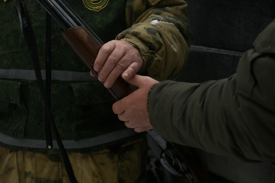 Нижегородцам начнут выдавать разрешения на добычу пернатой дичи
