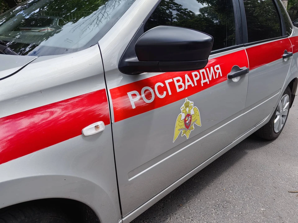Фото: пресс-служба Управления Росгвардии по Брянской области.