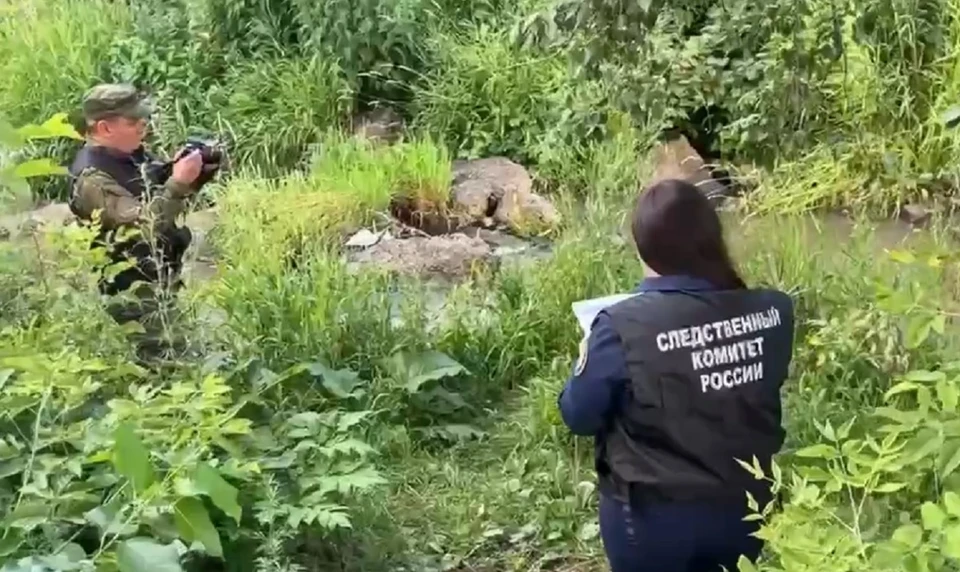 В Красноярске задержали подозреваемого в убийстве женщины. Скриншот: видео СК по Красноярскому краю и Хакасии